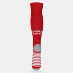 Accessories HVDBF290 Men Le Coq Sportif Replica Socks Red - Xv De France Red - Image 2