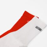 Accessories HVDBF294 Men Le Coq Sportif Socks White - Image 5