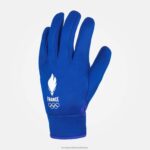 Accessories HVDBF711 Men Le Coq Sportif Gloves Blue