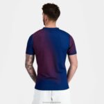 Clothing HVDBF173 Men Le Coq Sportif Prematch Jersey - Xv De France Blue - Image 4
