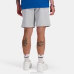 Clothing HVDBF218 Men Le Coq Sportif Shorts Grey - Image 4