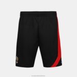 Clothing HVDBF225 Men Le Coq Sportif Shorts Black - Image 2