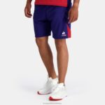 Clothing HVDBF234 Men Le Coq Sportif Shorts Blue