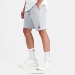 Clothing HVDBF240 Men Le Coq Sportif Shorts Grey