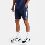 Clothing HVDBF244 Men Le Coq Sportif Shorts Blue