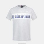 Clothing HVDBF378 Children Le Coq Sportif T-Shirt Grey - Image 2