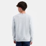 Clothing HVDBF397 Children Le Coq Sportif Sweatshirt Grey - Image 4
