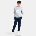 Clothing HVDBF397 Children Le Coq Sportif Sweatshirt Grey - Image 6