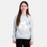 Clothing HVDBF397 Children Le Coq Sportif Sweatshirt Grey - Image 7