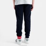 Clothing HVDBF404 Children Le Coq Sportif Trousers Blue - Image 4