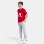 Clothing HVDBF408 Children Le Coq Sportif Trousers Grey - Image 5