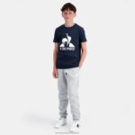Clothing HVDBF410 Children Le Coq Sportif Trousers Grey - Image 5