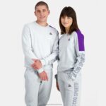 Clothing HVDBF443 Men Le Coq Sportif Sweatshirt Grey - Image 6