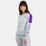 Clothing HVDBF443 Men Le Coq Sportif Sweatshirt Grey - Image 7