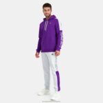 Clothing HVDBF500 Men Le Coq Sportif Trousers Grey - Image 5