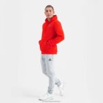 Clothing HVDBF53 Men Le Coq Sportif Hooded Sweatshirt Red - Image 5