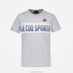 Clothing HVDBF640 Children Le Coq Sportif T-Shirt Grey - Image 2