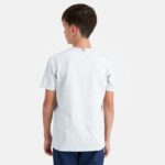 Clothing HVDBF640 Children Le Coq Sportif T-Shirt Grey - Image 4