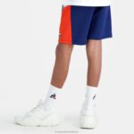 Clothing HVDBF641 Children Le Coq Sportif Shorts Blue - Image 5
