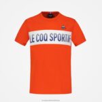 Clothing HVDBF645 Children Le Coq Sportif T-Shirt Multicoloured - Image 2