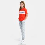 Clothing HVDBF662 Children Le Coq Sportif Trousers Grey - Image 9